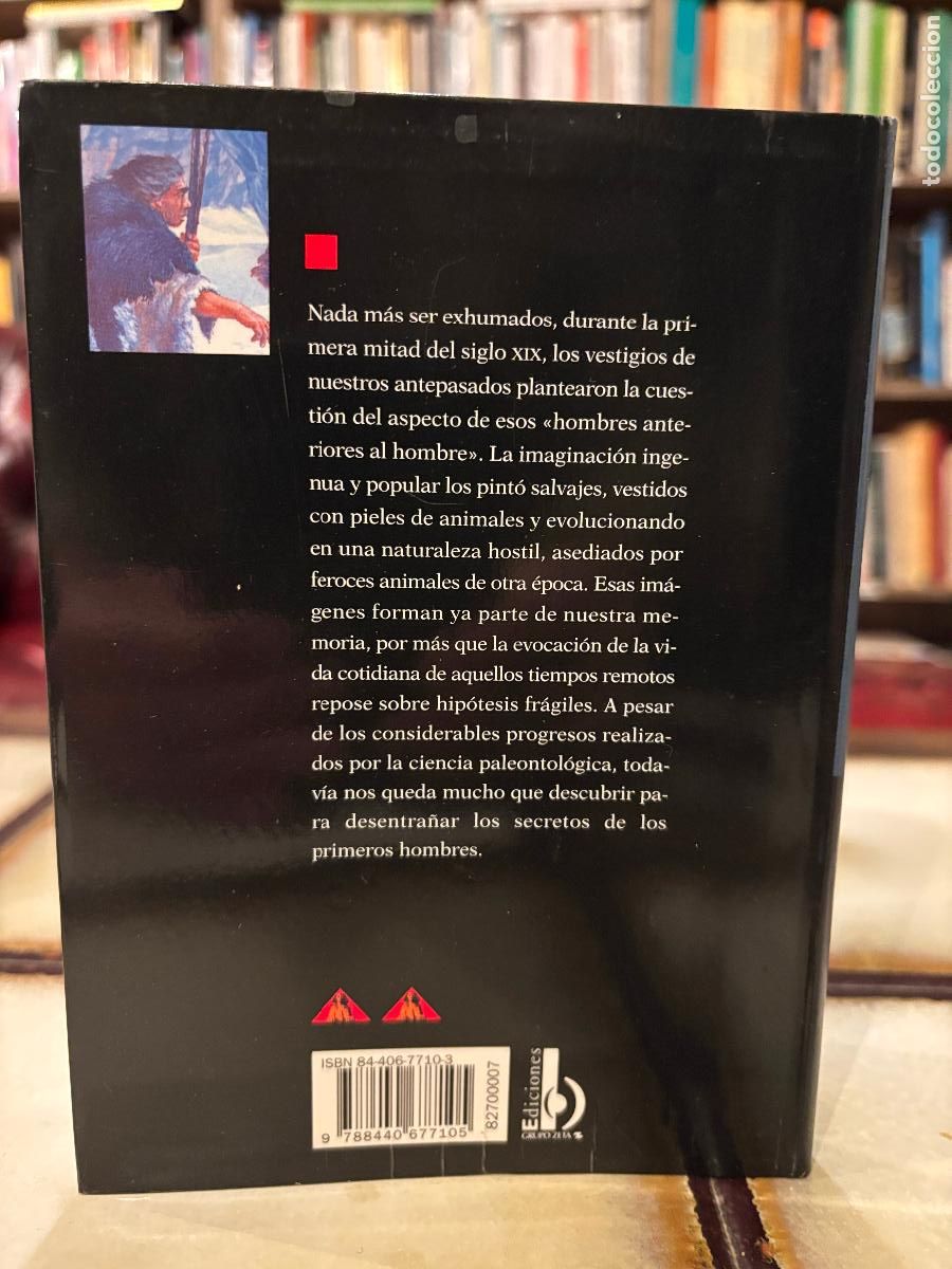 Libros de segunda mano: Nuestros or&iacute;genes, el hombre antes del hombre. Herbert Thomas. - Foto 2