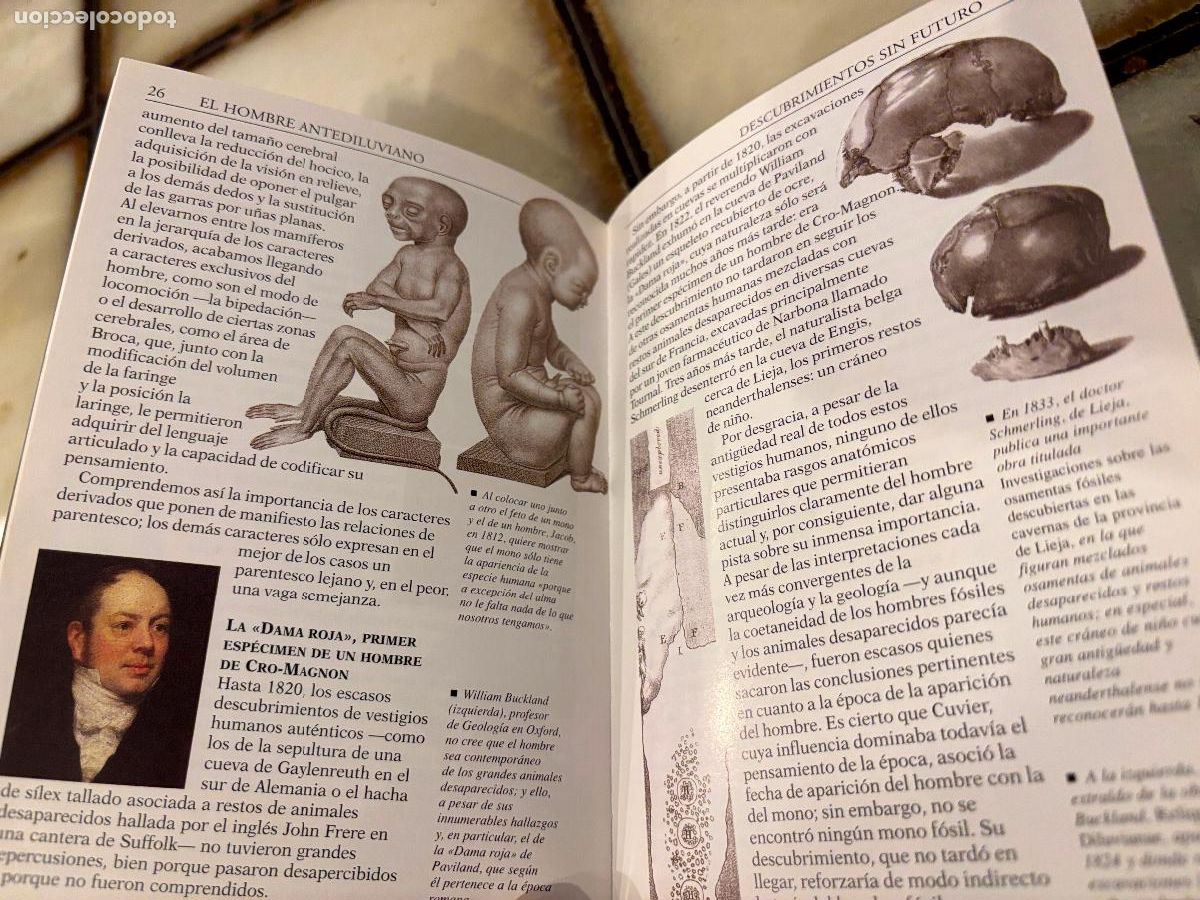 Libros de segunda mano: Nuestros or&iacute;genes, el hombre antes del hombre. Herbert Thomas. - Foto 4