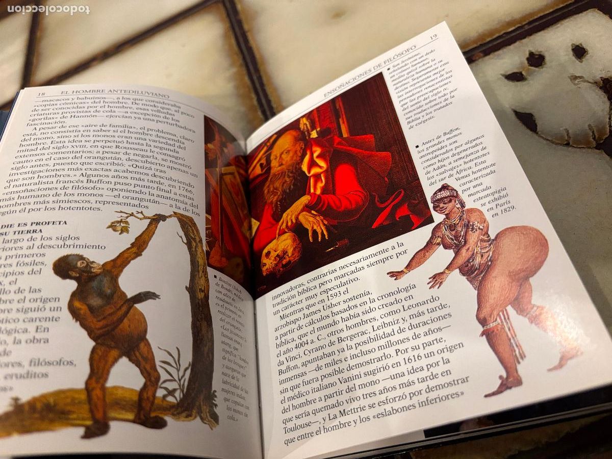 Libros de segunda mano: Nuestros or&iacute;genes, el hombre antes del hombre. Herbert Thomas. - Foto 5