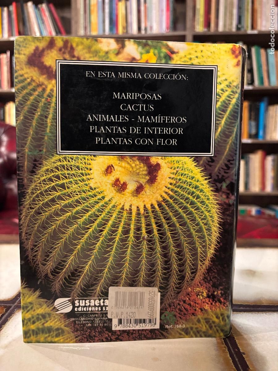 Libros de segunda mano: Peque&ntilde;a enciclopedia de cactus. 426 ilustraciones