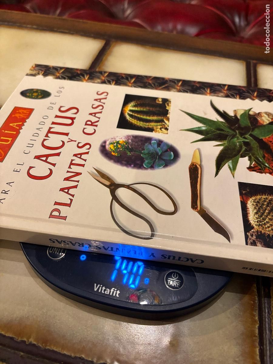 Libros de segunda mano: Gu&iacute;a para el cuidado de cactus y plantas crasas. - Foto 2