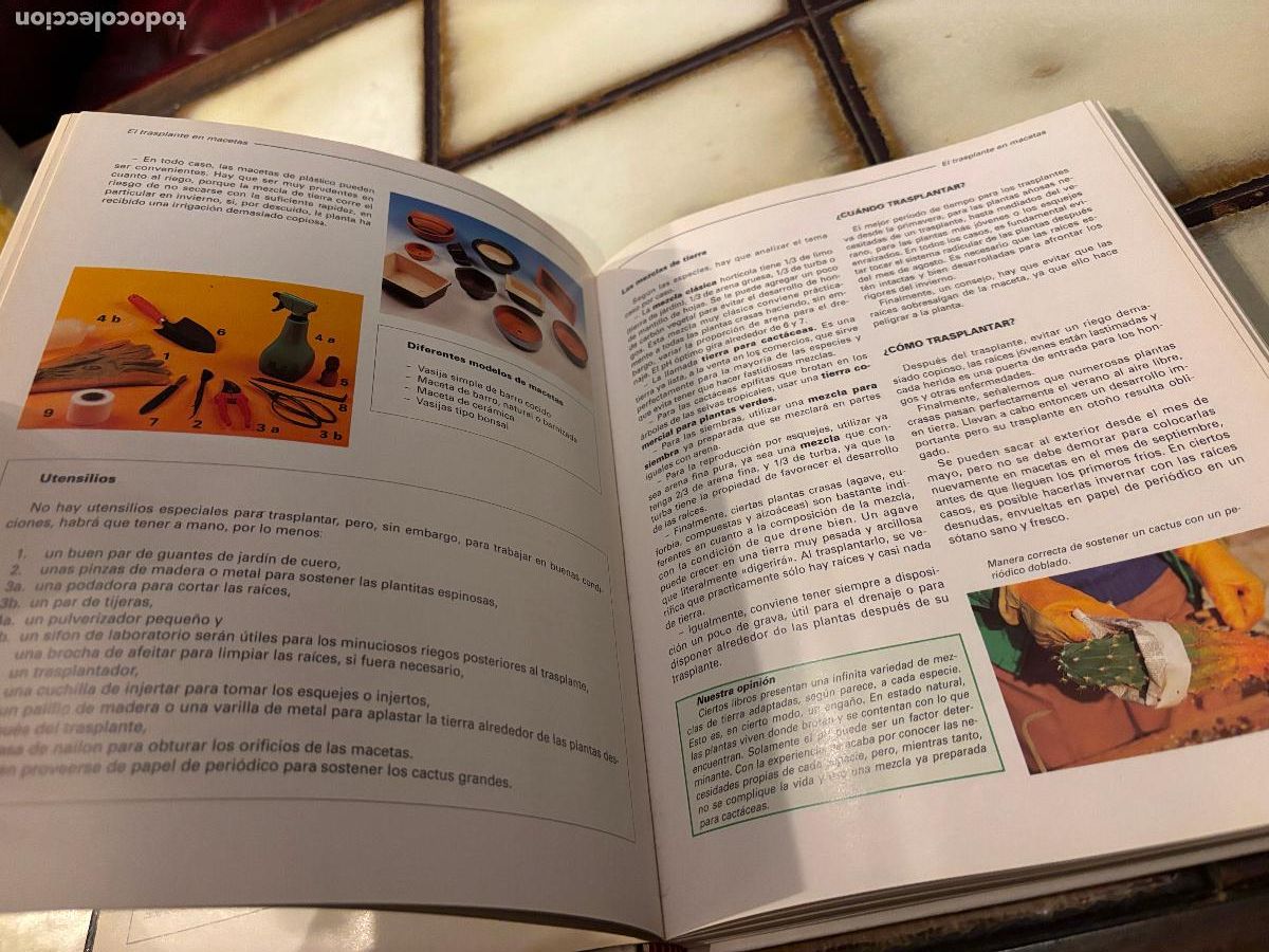 Libros de segunda mano: Gu&iacute;a para el cuidado de cactus y plantas crasas. - Foto 5