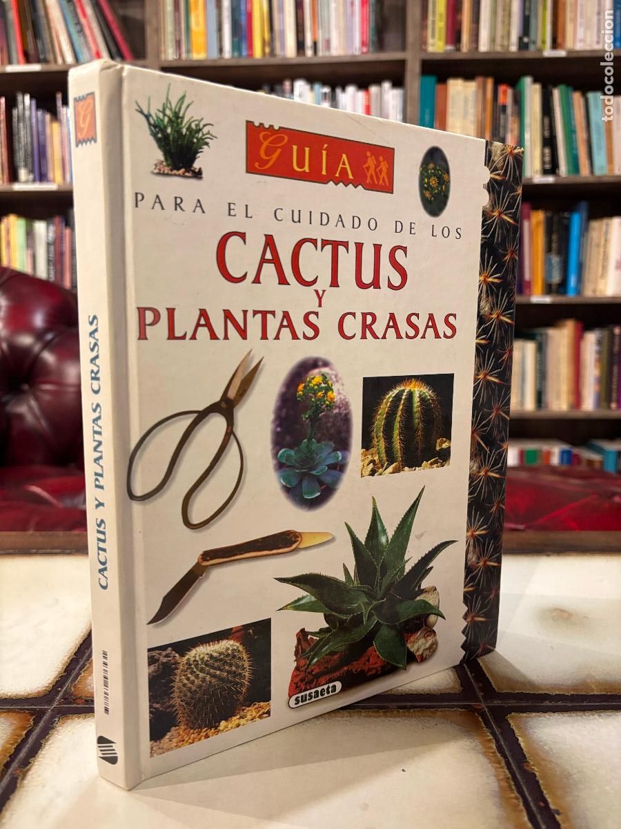 Libros de segunda mano: Gu&iacute;a para el cuidado de cactus y plantas crasas.