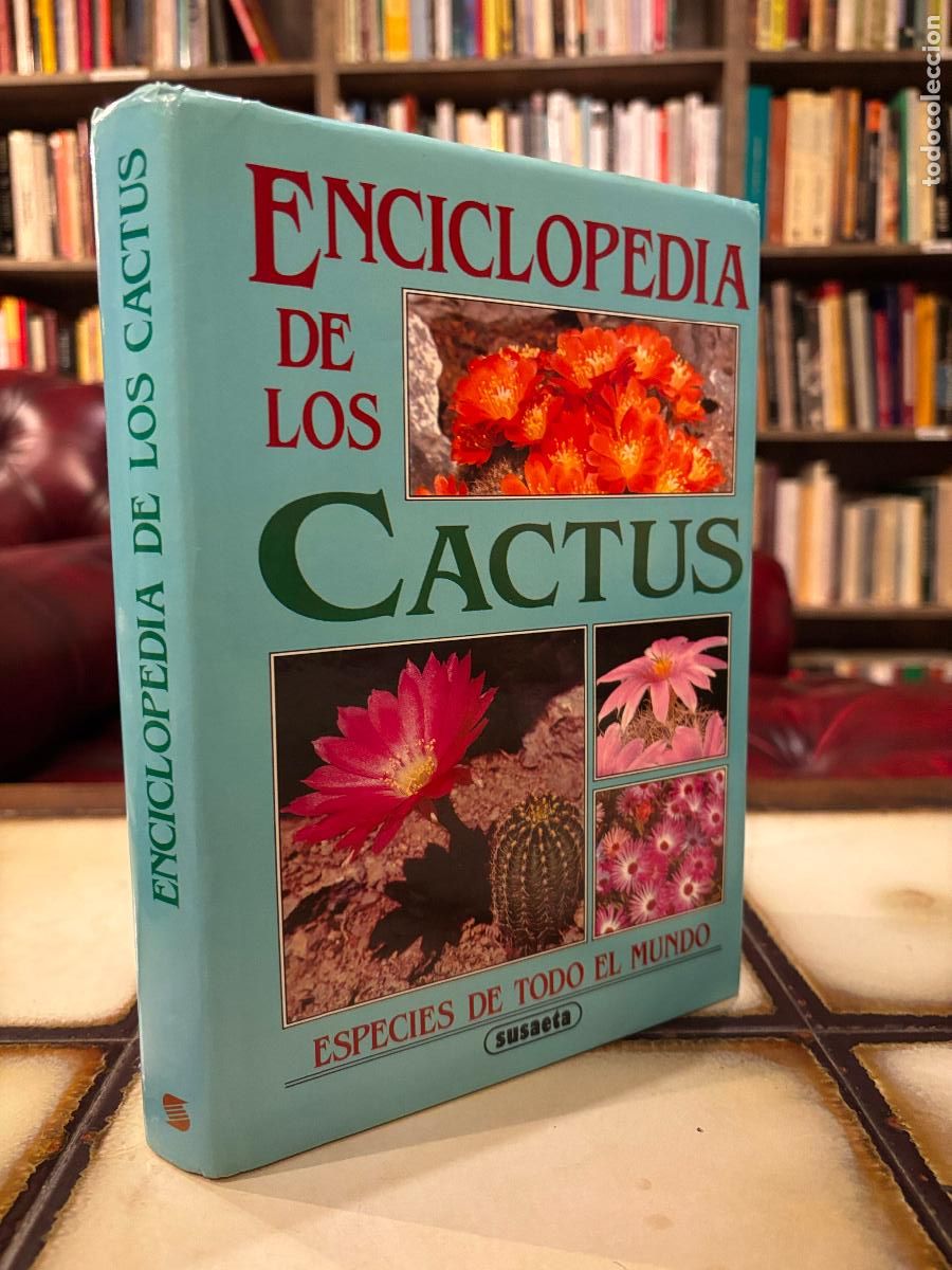 Libros de segunda mano: Enciclopedia de los cactus. Especies de todo el mundo