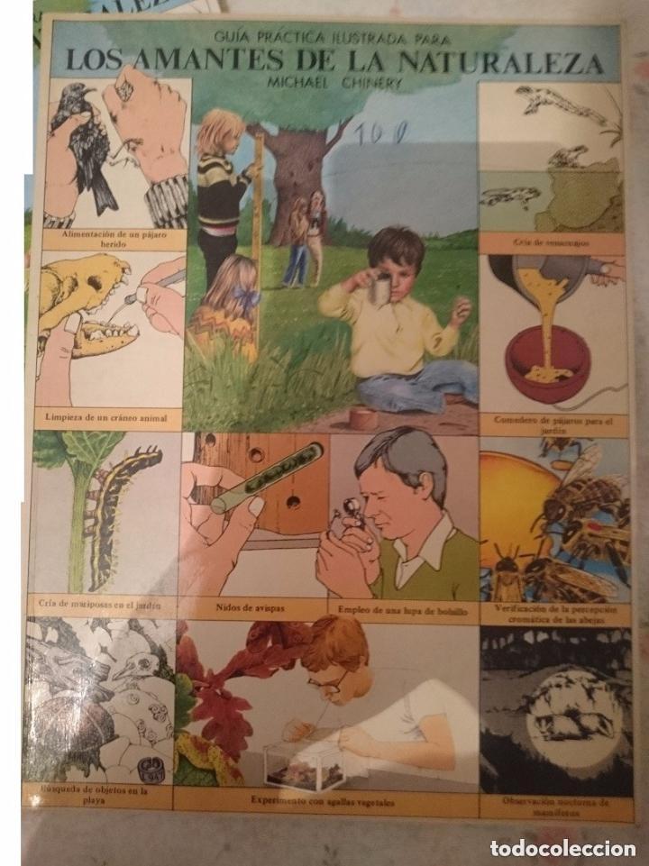 Libros de segunda mano: LOS AMANTES DE LA NATURALEZA - MICHAEL CHINERY - CON ALGUNAS PAGINAS RECORTADAS
