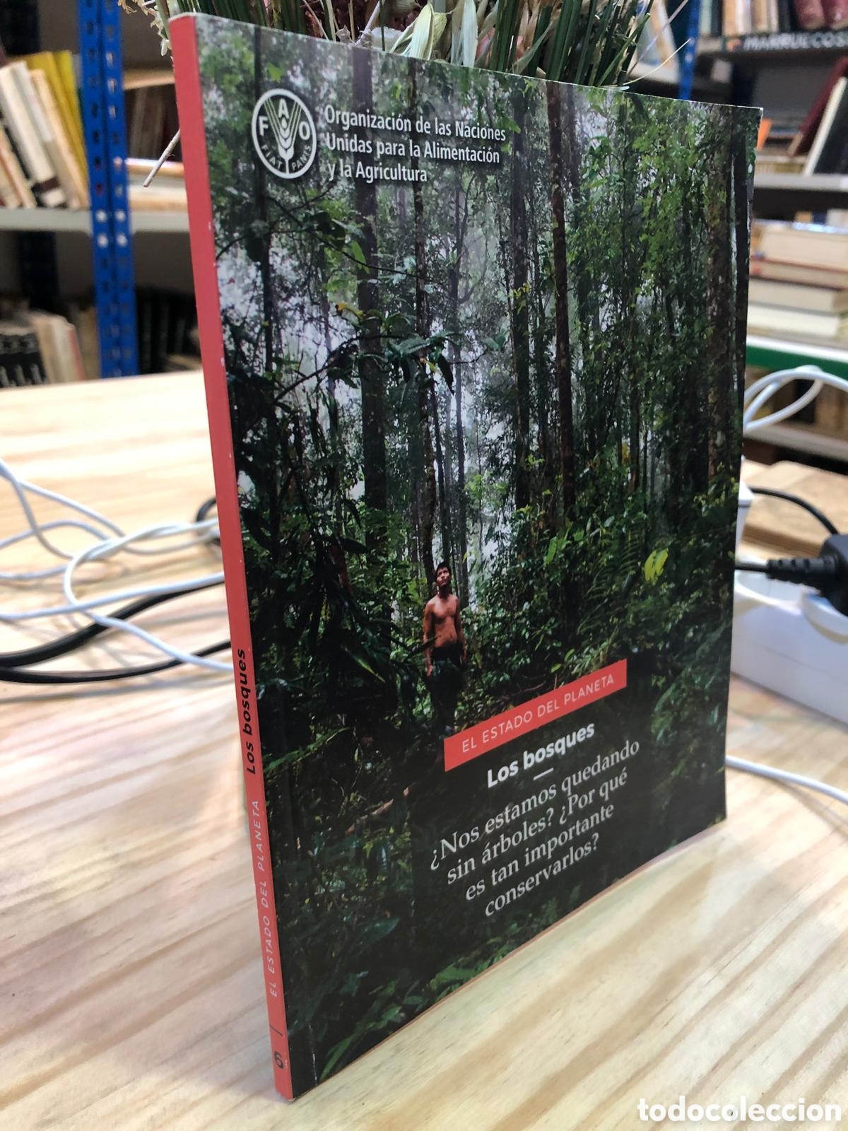 Libri di seconda mano: Los bosques. &iquest;Nos estamos quedando sin &aacute;rboles? &iquest;Por qu&eacute; es tan importante conservarlos? - V. Rom&aacute;n