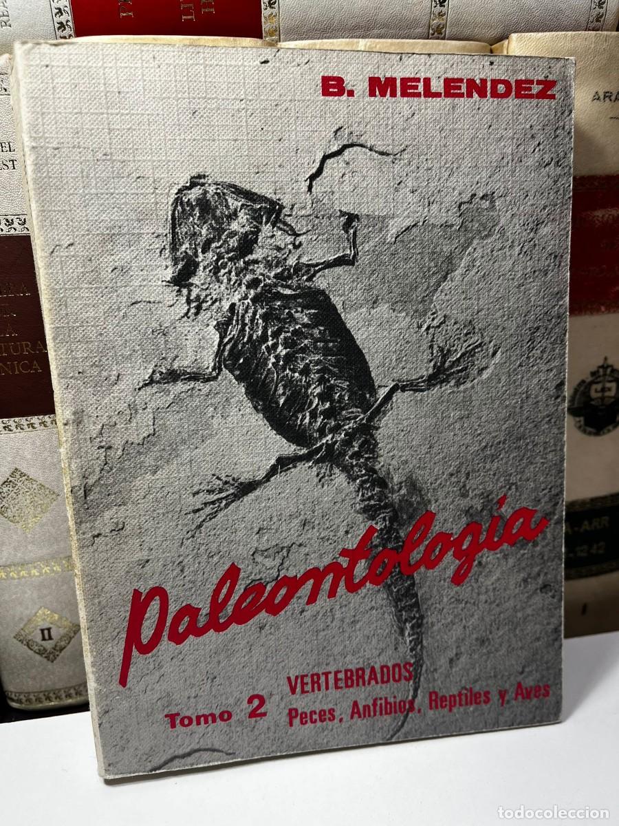 Gebrauchte B&uuml;cher: PALEONTOLOG&Iacute;A, VERTEBRADOS. Peces, Anfibios, Reptiles y Aves. Tomo 2. B. Melendez. 1977.