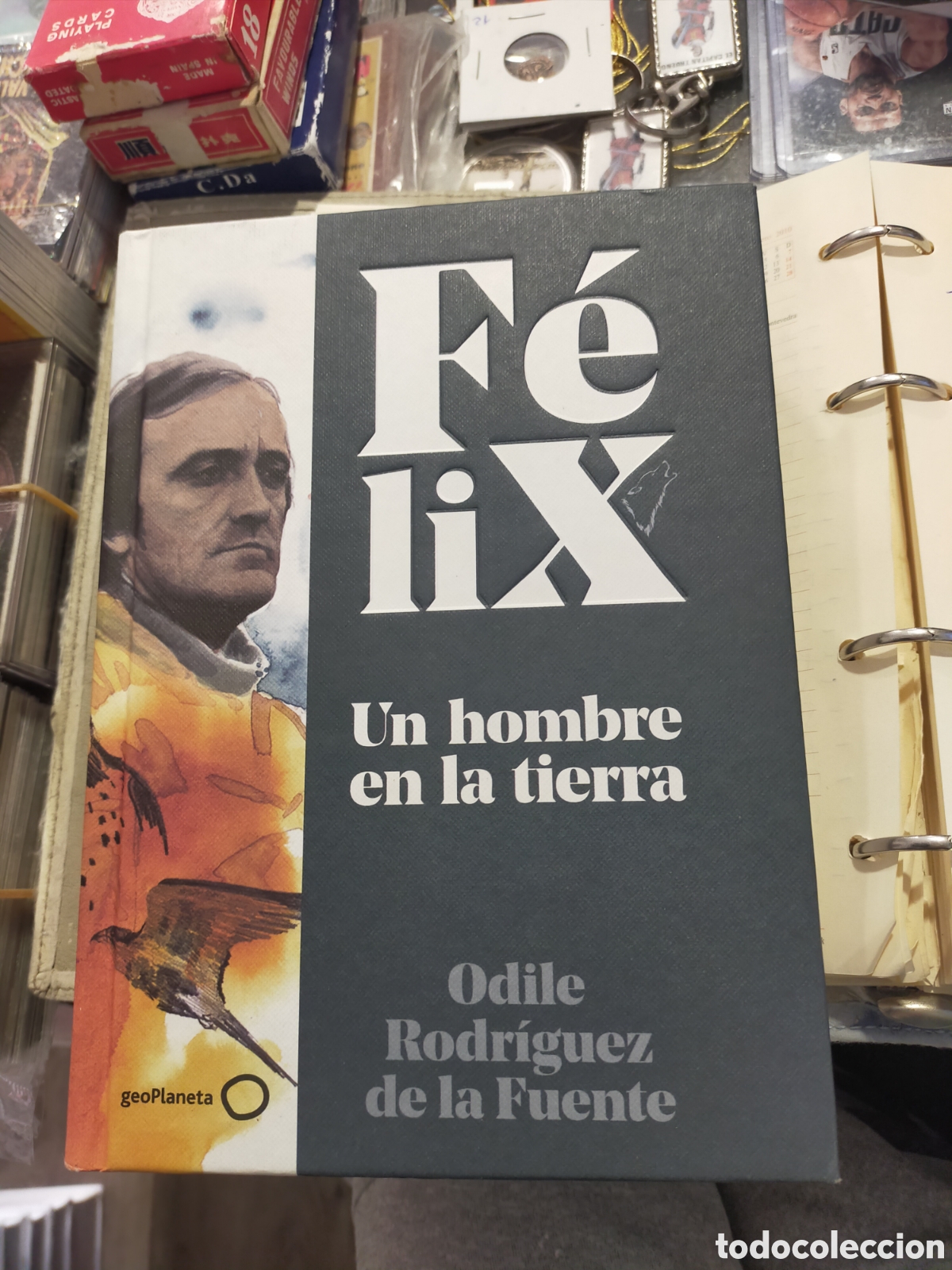 Libros de segunda mano: FELIX UN HOMBRE EN LA TIERRA ODILE RODR&Iacute;GUEZ DE LA FUENTE GEOPLANETA MUY BUEN ESTADO