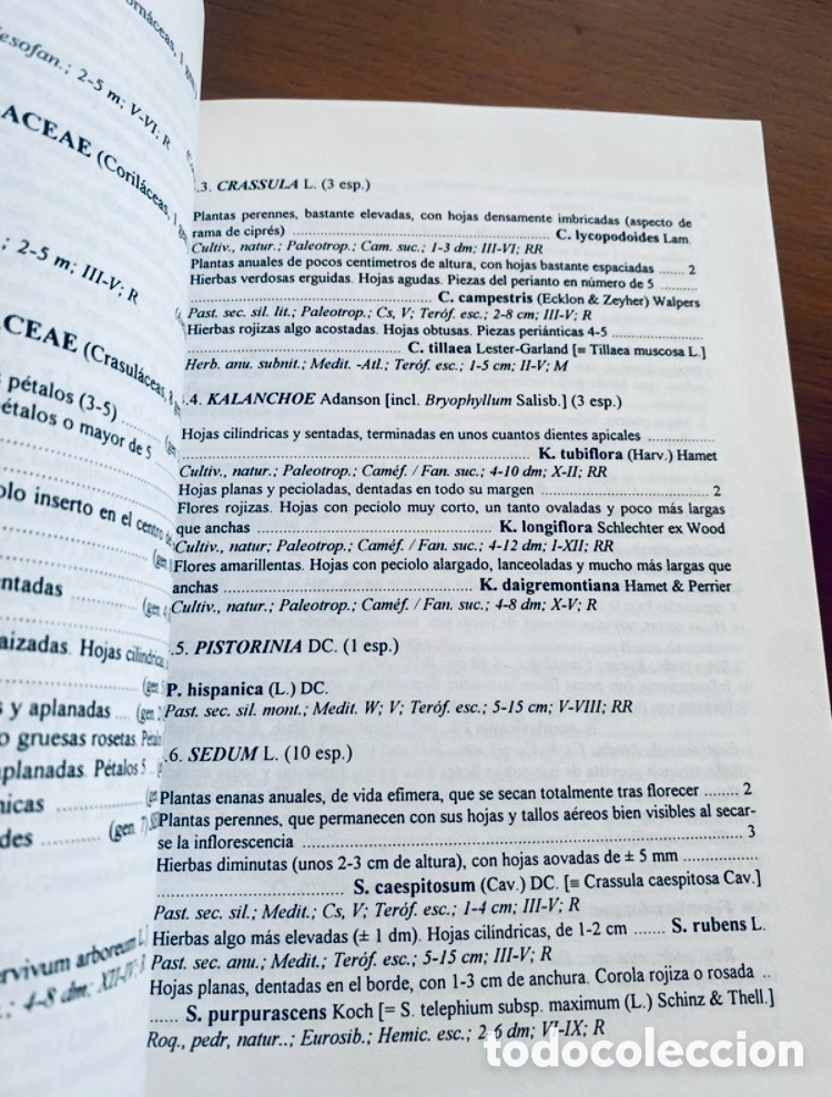 Libros de segunda mano: FLORA ABREVIADA DE LA COMUNIDAD VALENCIANA - Foto 2