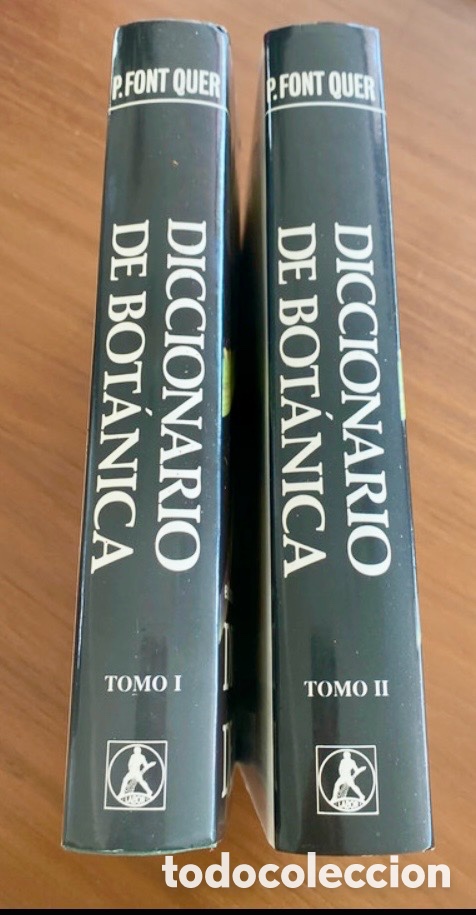 Libros de segunda mano: DICCIONARIO DE BOTANICA - PIO FONT QUER- 2 TOMOS. - Foto 2