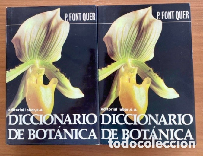 Libros de segunda mano: DICCIONARIO DE BOTANICA - PIO FONT QUER- 2 TOMOS. - Foto 1
