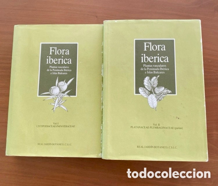 Libros de segunda mano: Flora iberica Plantas vasculares de la Pen&iacute;nsula Ib&eacute;rica e Islas Balcares.