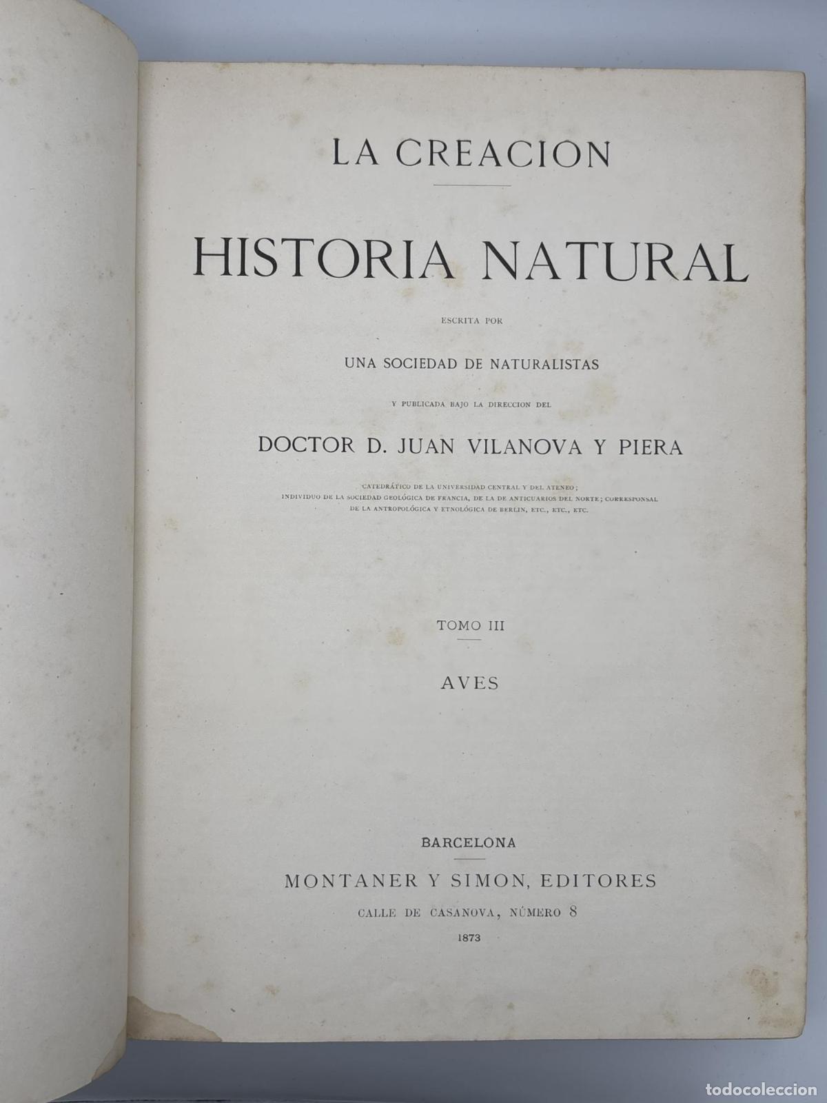 Libros de segunda mano: LA CREACION. HISTORIA NATURAL. TOMO III - AVES. JUAN VILLANOVA Y PIEDRA. MONTANER Y SIMON. 1873 -