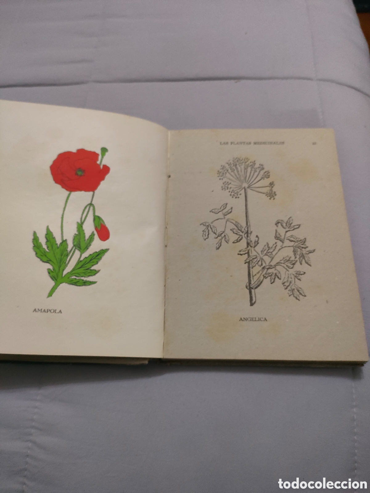 Libros de segunda mano: Libro las plantas medicinales - Foto 2