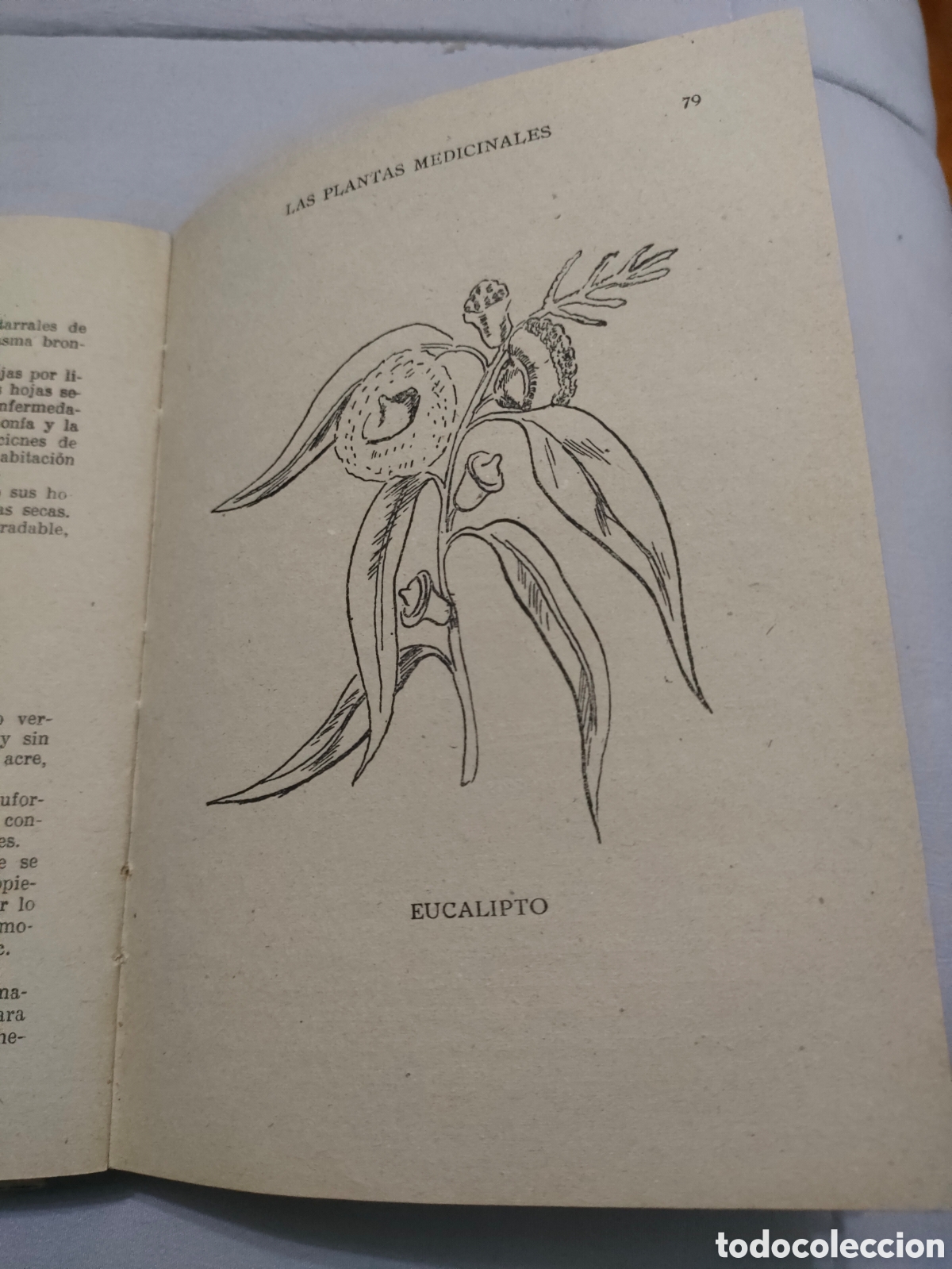 Libros de segunda mano: Libro las plantas medicinales - Foto 3