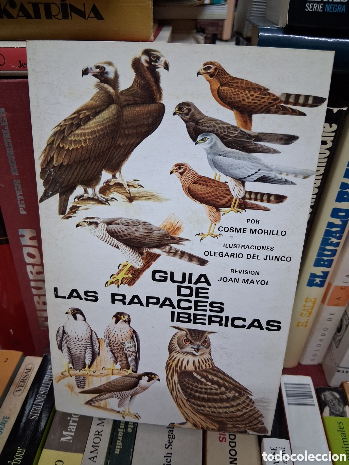 Libros de segunda mano: Gu&iacute;a de las rapaces ibericas - Cosme Morillo, Olegario del Jundo, Joan Mayol