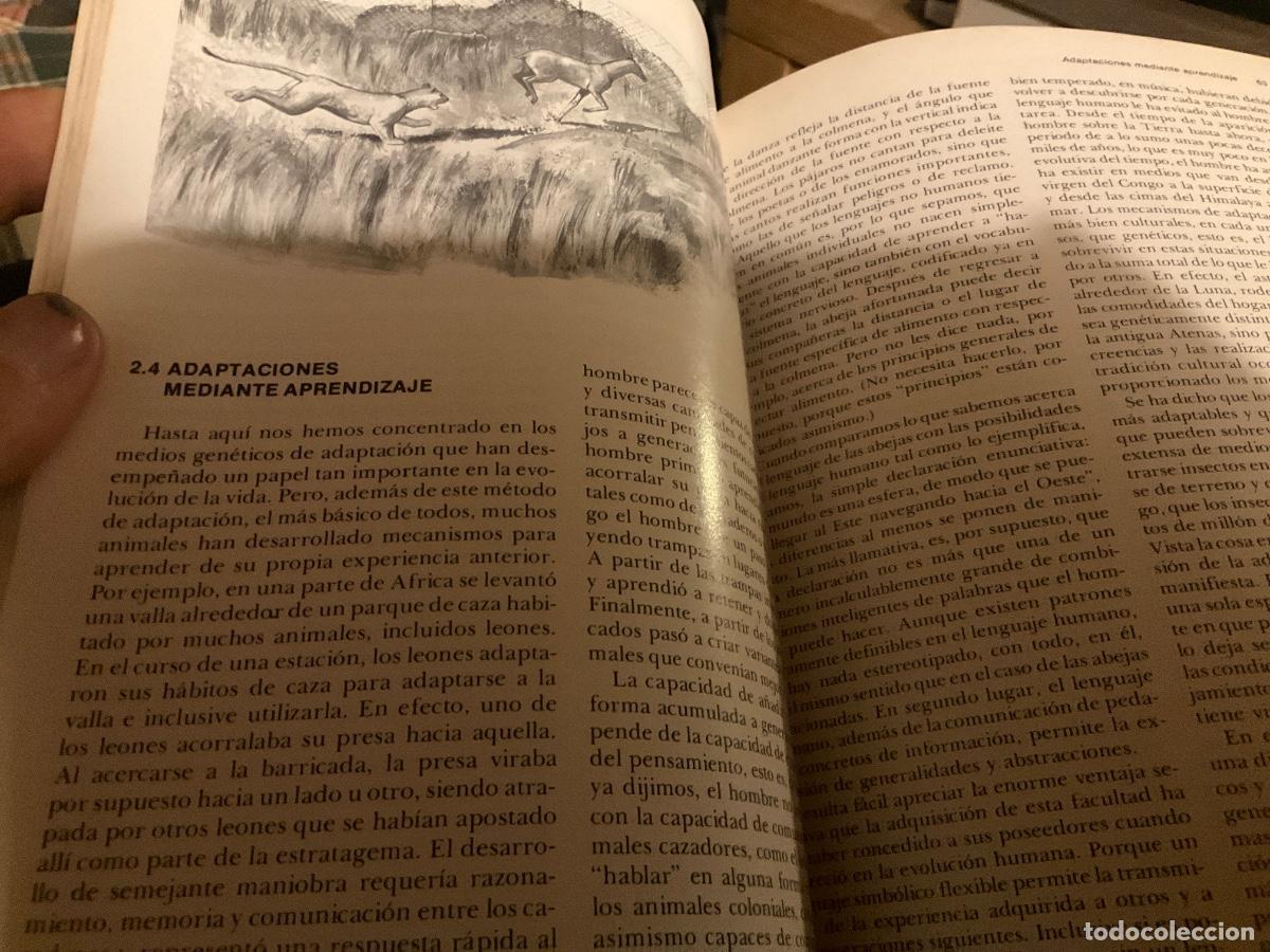 Libros de segunda mano: TRATADO DE ECOLOG&Iacute;A - TURK WITTES - Foto 5