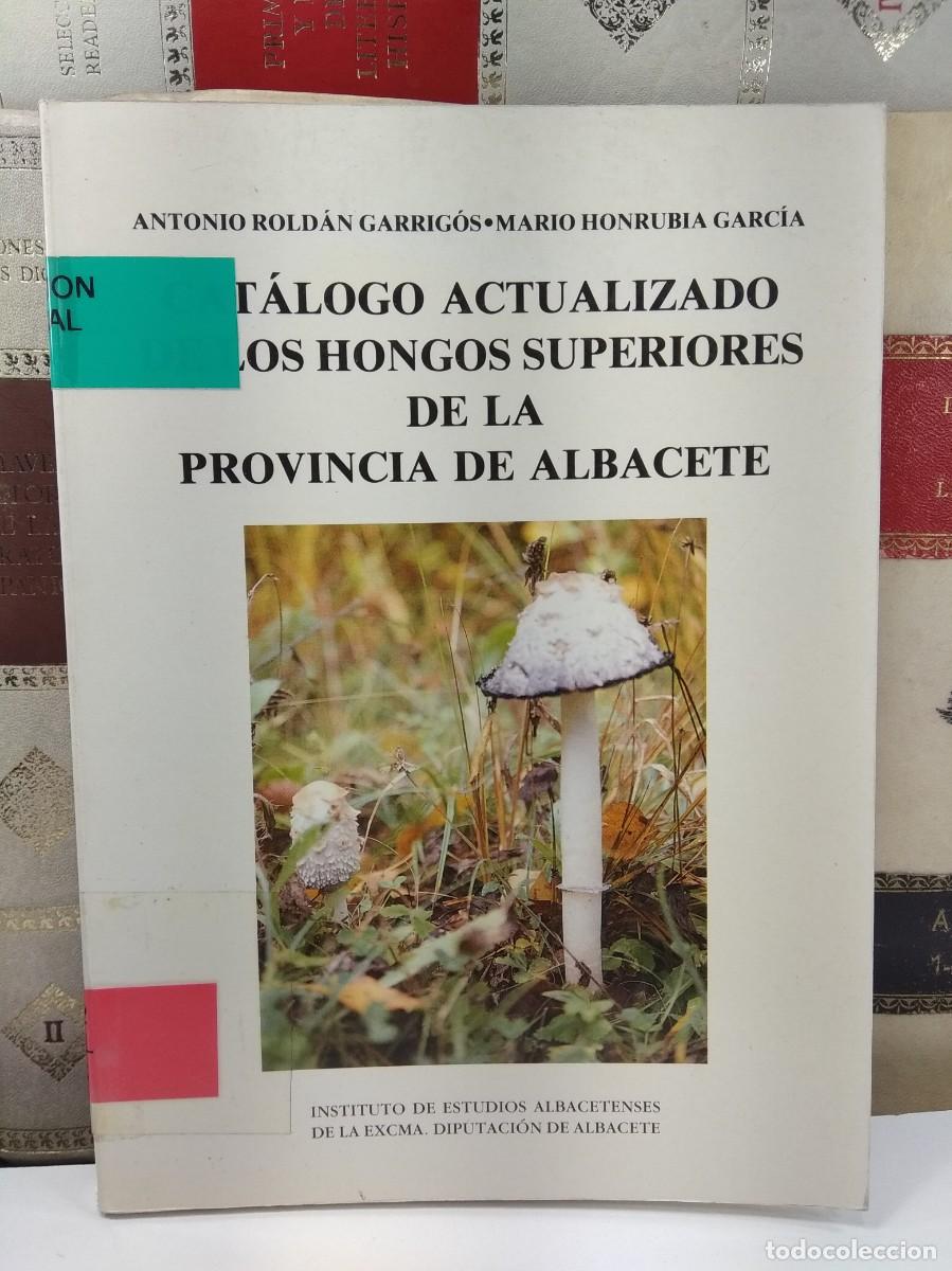 Libros de segunda mano: CAT&Aacute;LOGO ACTUALIZADO DE LOS HONGOS SUPERIORES DE LA PROVINCIA DE ALBACETE.