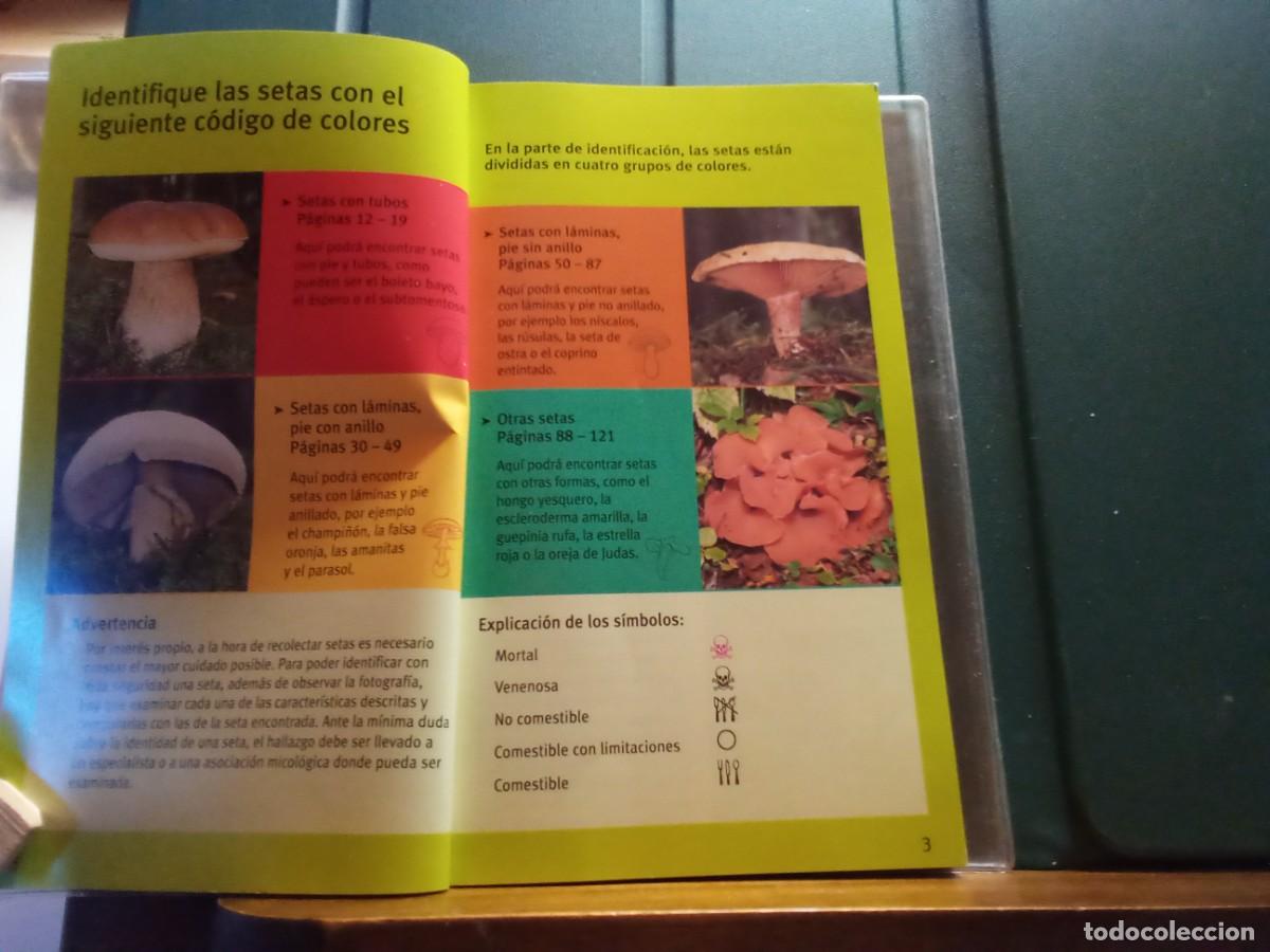 Libros de segunda mano: SETAS. MINIGUIA DE BOLSILLO. - Foto 4