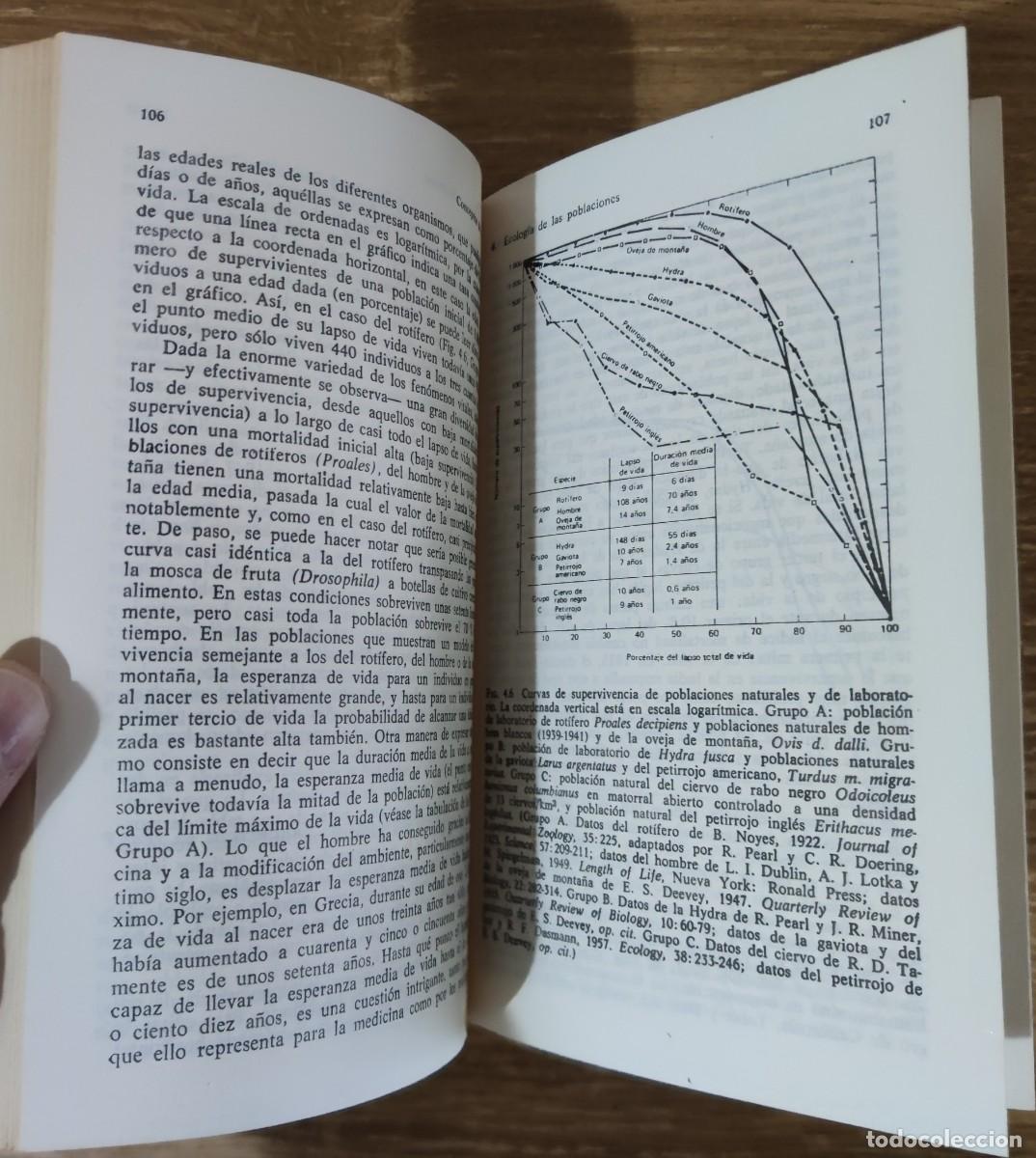 Libros de segunda mano: Libro - Conceptos de ecolog&iacute;a (1975) Edward J. Kormondy - Foto 3