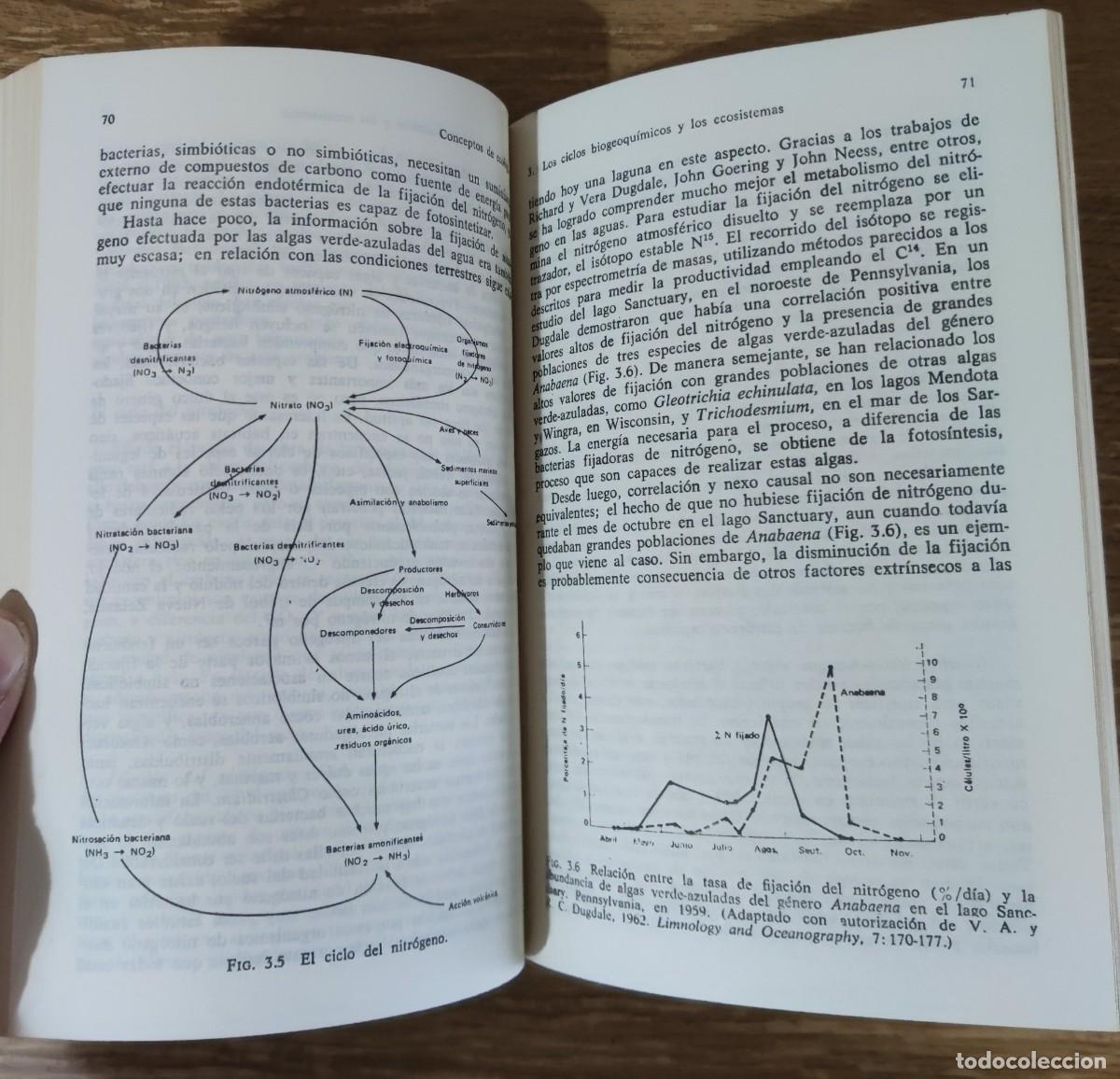 Libros de segunda mano: Libro - Conceptos de ecolog&iacute;a (1975) Edward J. Kormondy - Foto 4