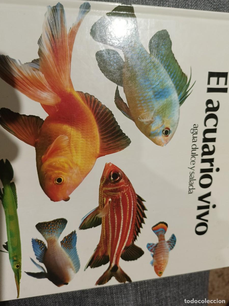 Libros de segunda mano: EL ACUARIO VIVO. Agua dulce y salada. Peter Hunnam