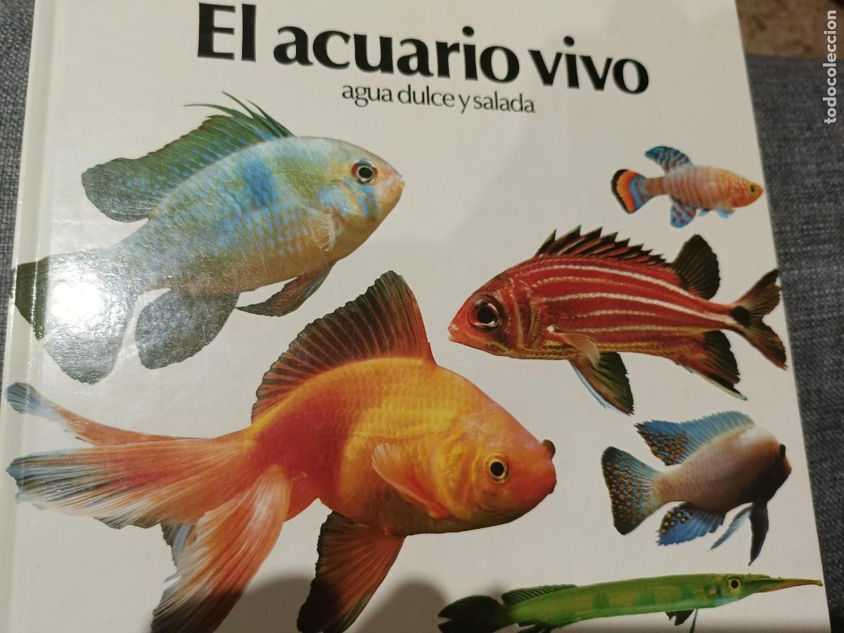 Libri di seconda mano: EL ACUARIO VIVO. Agua dulce y salada. Peter Hunnam