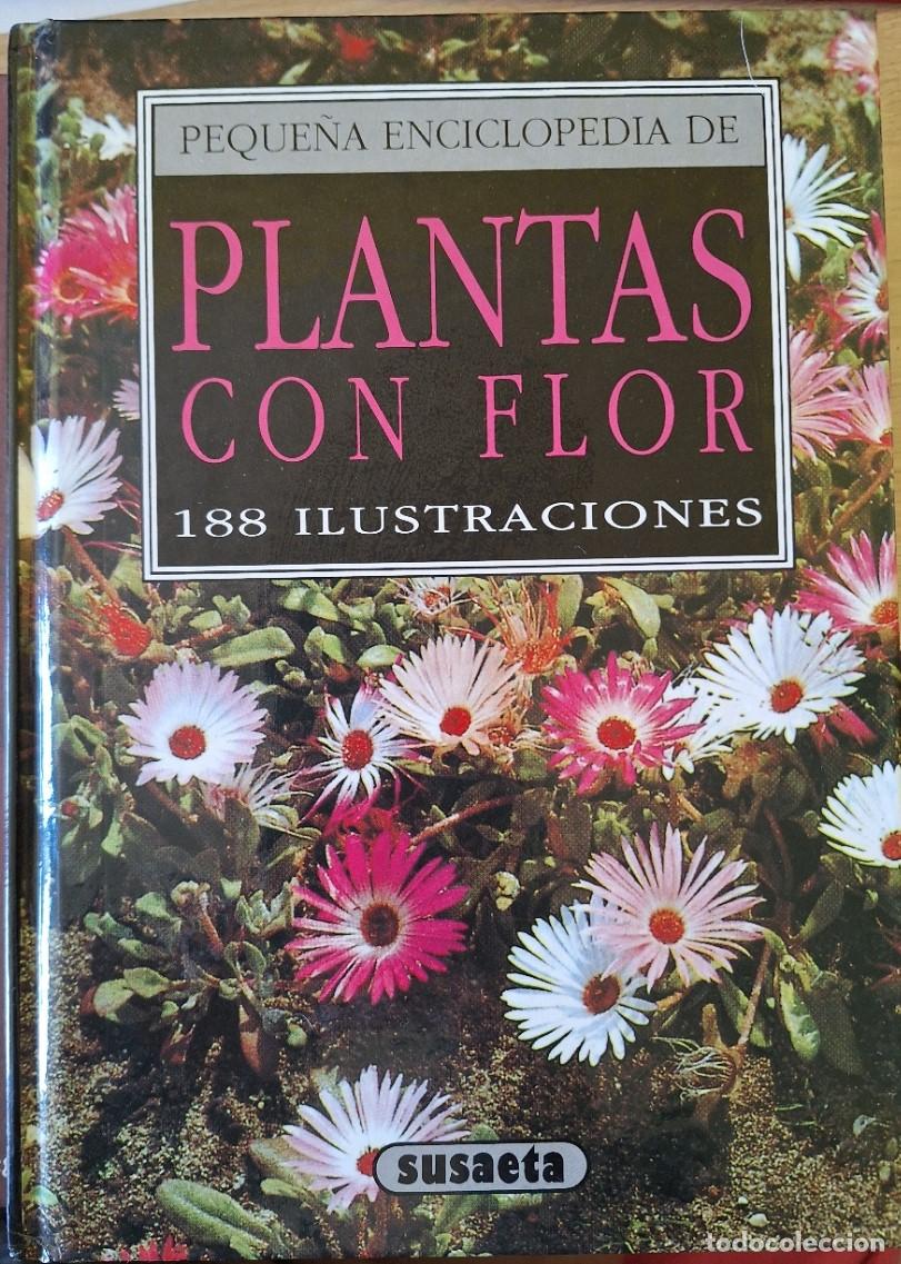 Libri di seconda mano: PEQUE&Ntilde;A ENCICLOPEDIA DE PLANTAS CON FLOR. - KRISA, Bohdan.
