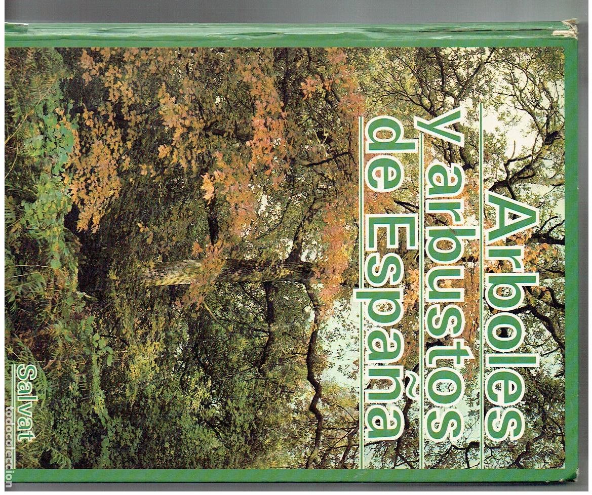 Libros de segunda mano: &Aacute;RBOLES Y ARBUSTOS DE ESPA&Ntilde;A. SALVAT, 1977. (MD/1)