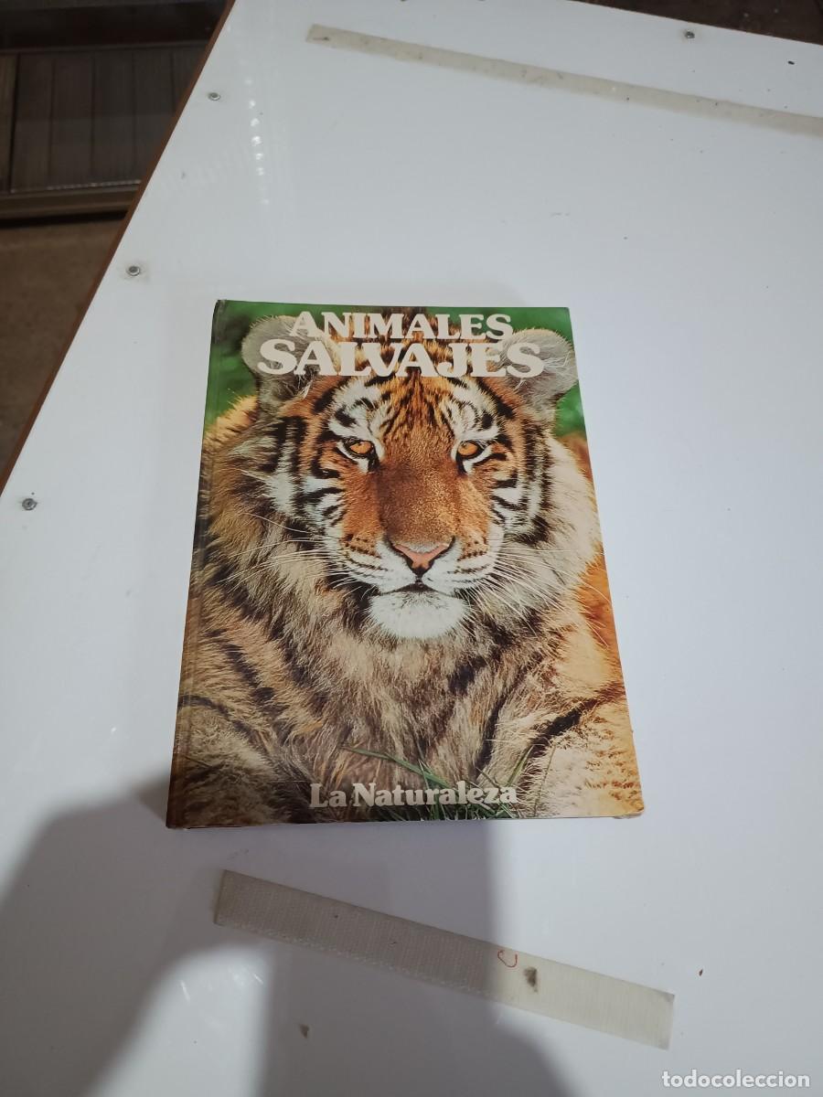 Libros de segunda mano: ANIMALES SALVAJES - LA NATURALEZA -