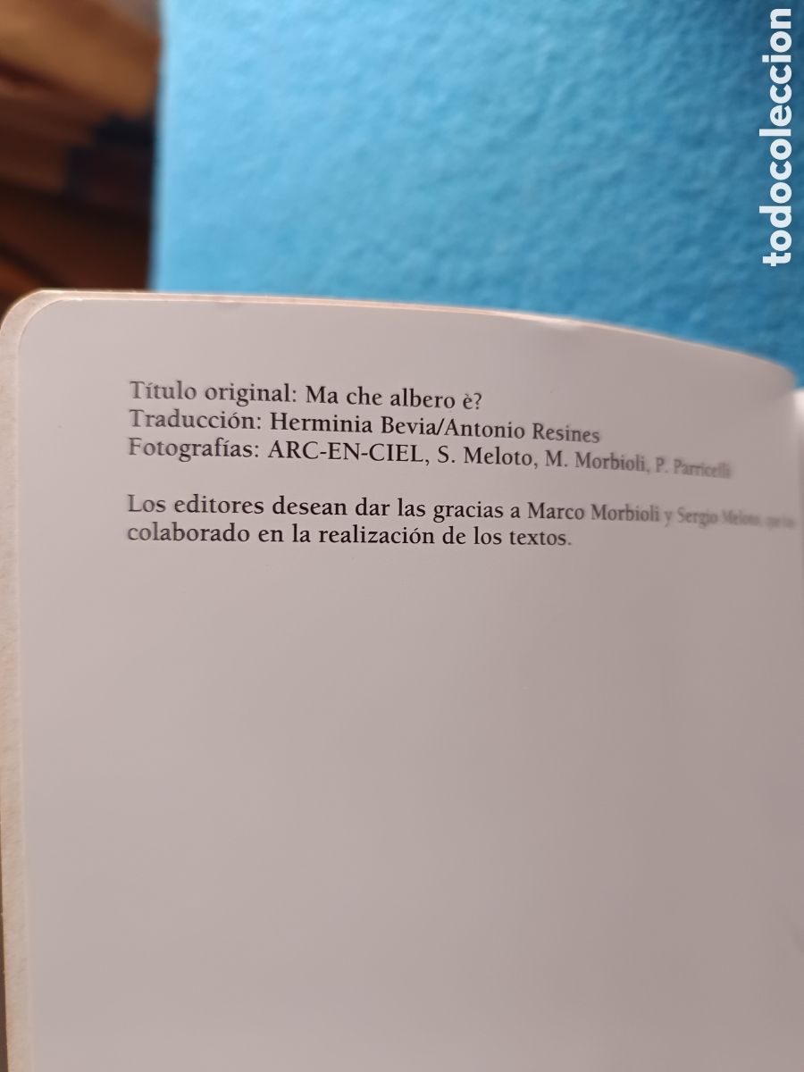 Libros de segunda mano: &iquest;Qu&eacute; &aacute;rbol es? Manual ilustrado - Foto 4