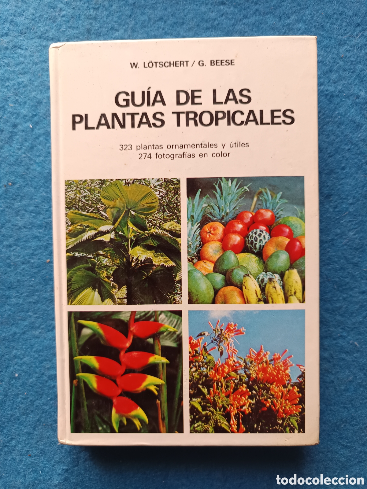 Libros de segunda mano: Gu&iacute;a de las plantas tropicales w lotschert g beese