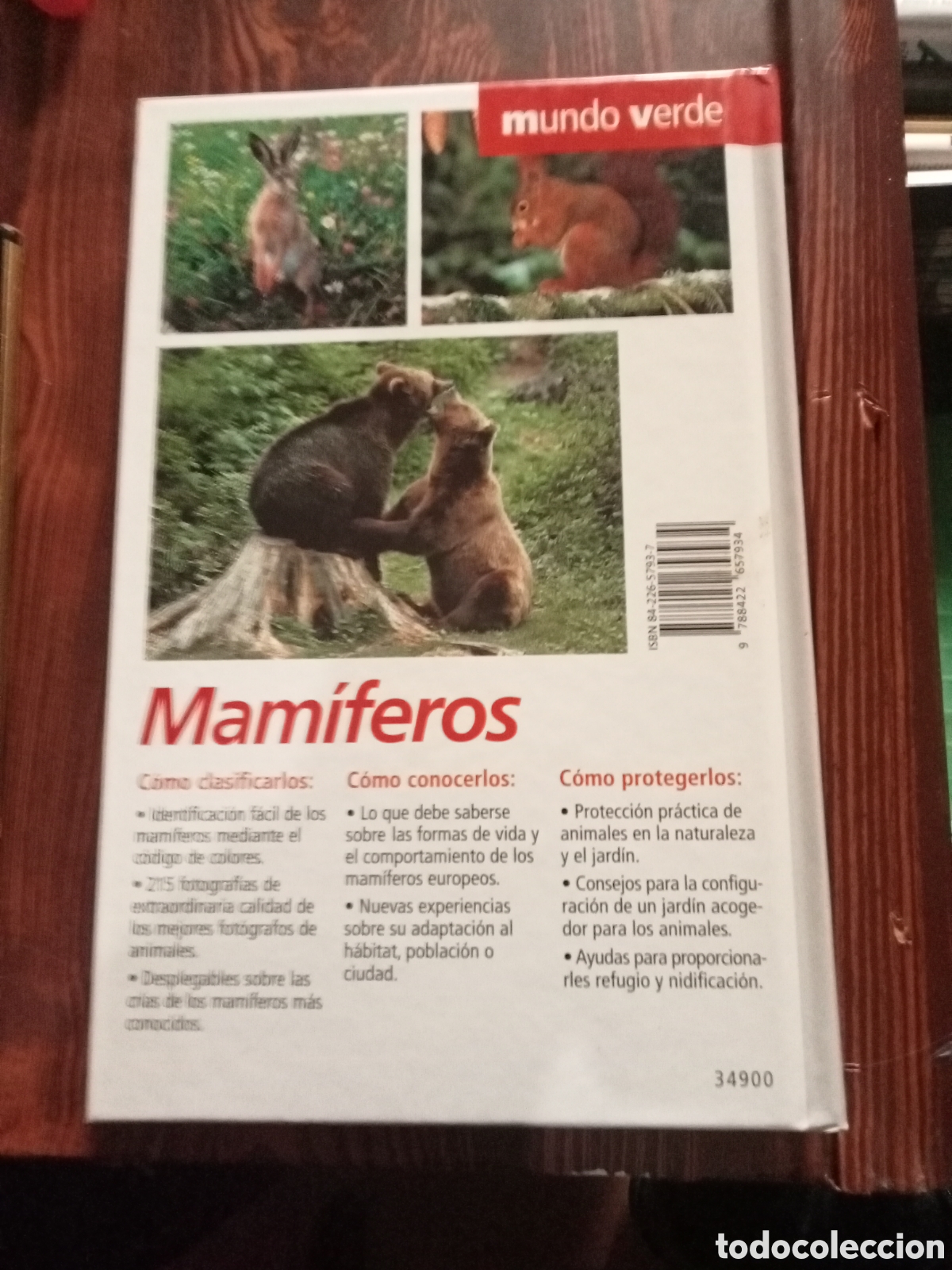 Libros de segunda mano: MAMIFEROS - COMO CLASIFICARLOS, CONOCERLOS Y PROTEGERLOS - Foto 2