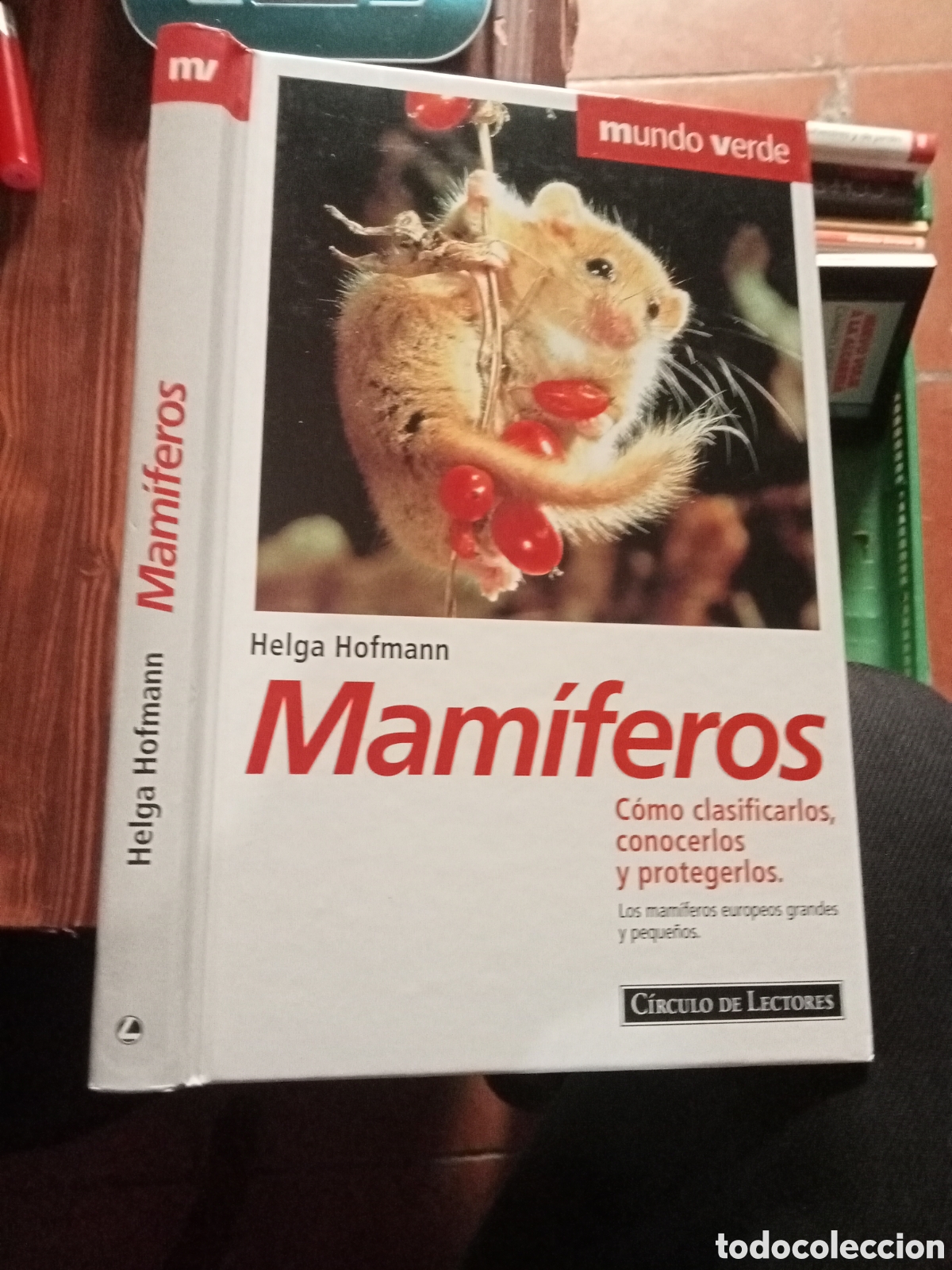 Libros de segunda mano: MAMIFEROS - COMO CLASIFICARLOS, CONOCERLOS Y PROTEGERLOS