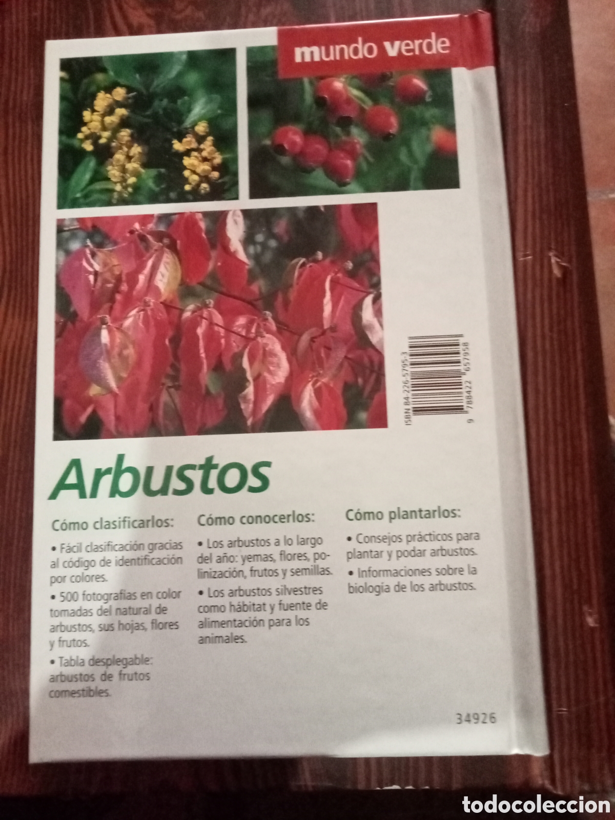 Libros de segunda mano: Arbustos silvestres y de jardin - Foto 2