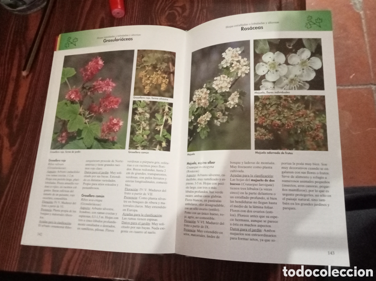 Libros de segunda mano: Arbustos silvestres y de jardin - Foto 4