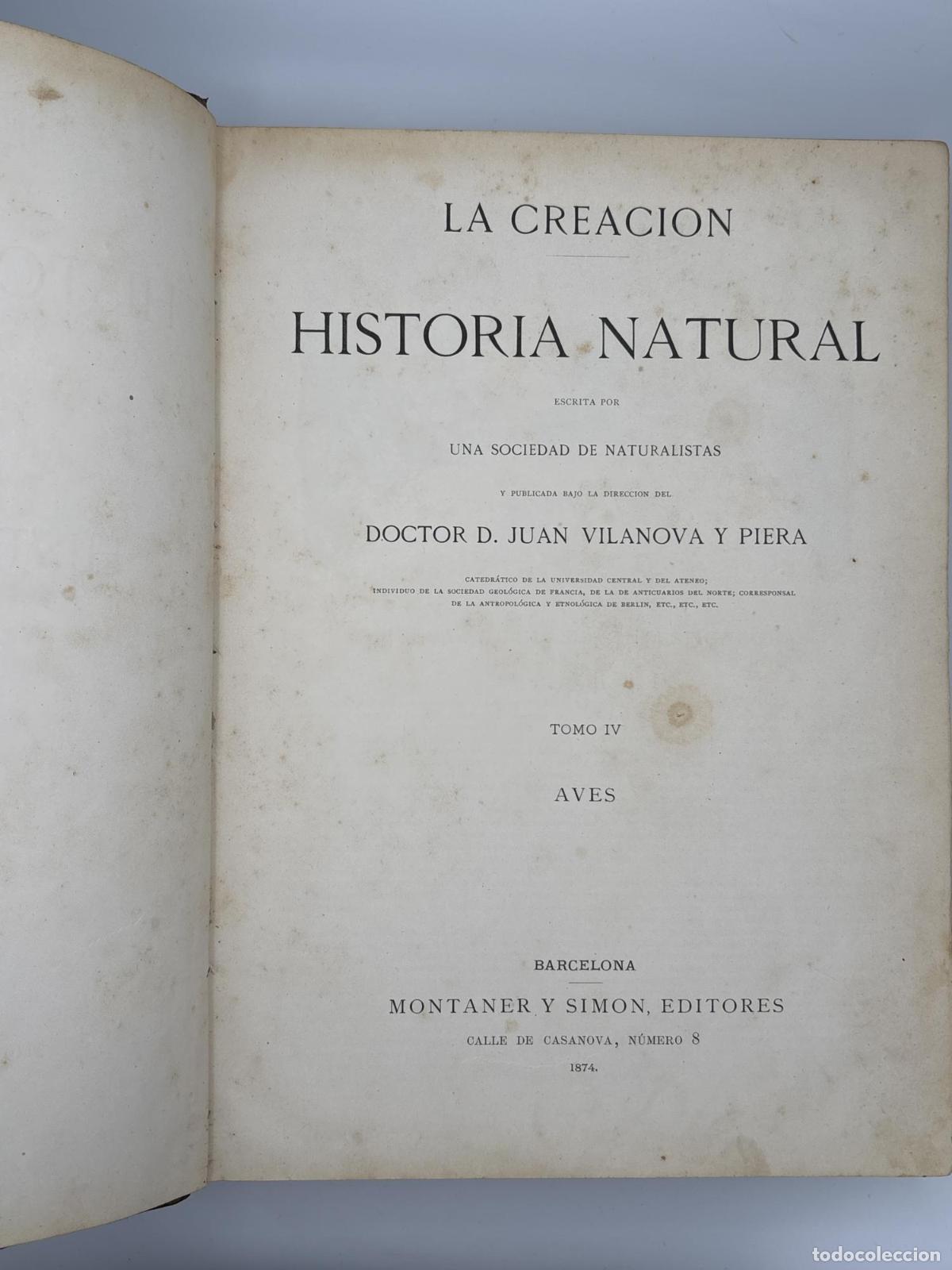 Libros de segunda mano: La Creaci&oacute;n. Historia Natural. Tomo IV Aves. Doctor D. Juan Vilanova y Piera -
