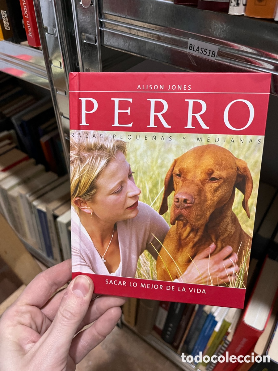 Libros de segunda mano: BLAS51B ALISON JONES PERRO RAZAS PEQUE&Ntilde;AS Y MEDIANAS SACAR LO MEJOR DE LA VIDA