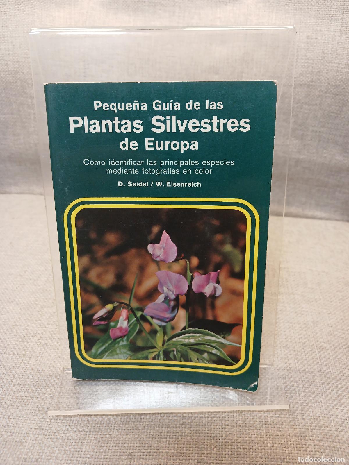 Libri di seconda mano: Peque&ntilde;a Guia de Las Plantas Silvestres de Europa - Dankwart Seidel