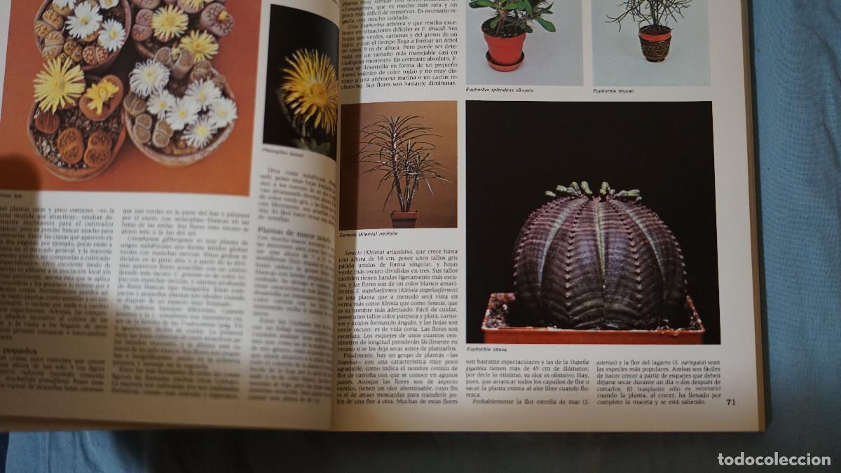Libros de segunda mano: El jard&iacute;n en casa - Editorial Blume - Foto 3