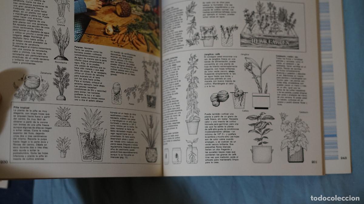 Libros de segunda mano: El jard&iacute;n en casa - Editorial Blume - Foto 4