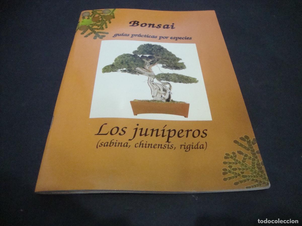 Libros de segunda mano: BONSAI GUIAS PRACTICAS POR ESPECIES LOS JUNIPEROS