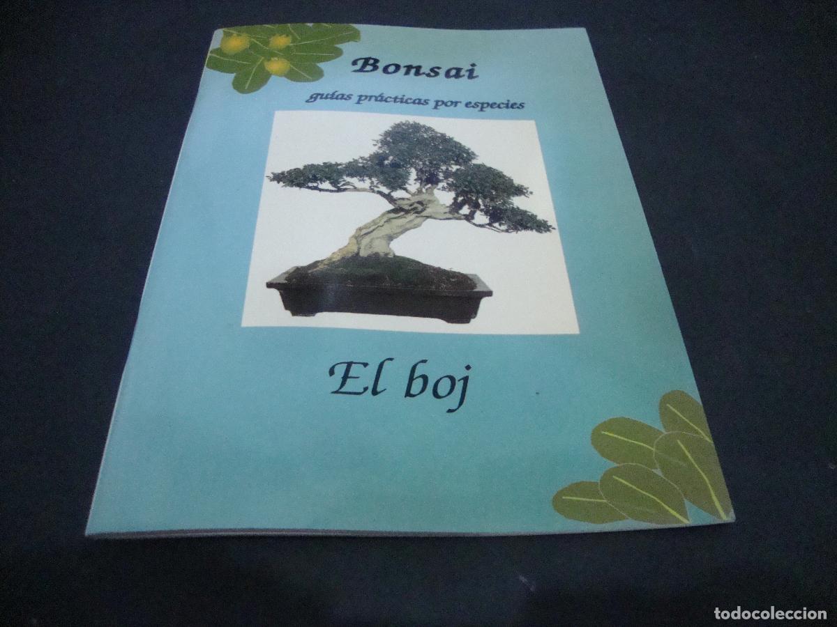Libros de segunda mano: BONSAI GUIAS PRACTICAS POR ESPECIES EL BOJ