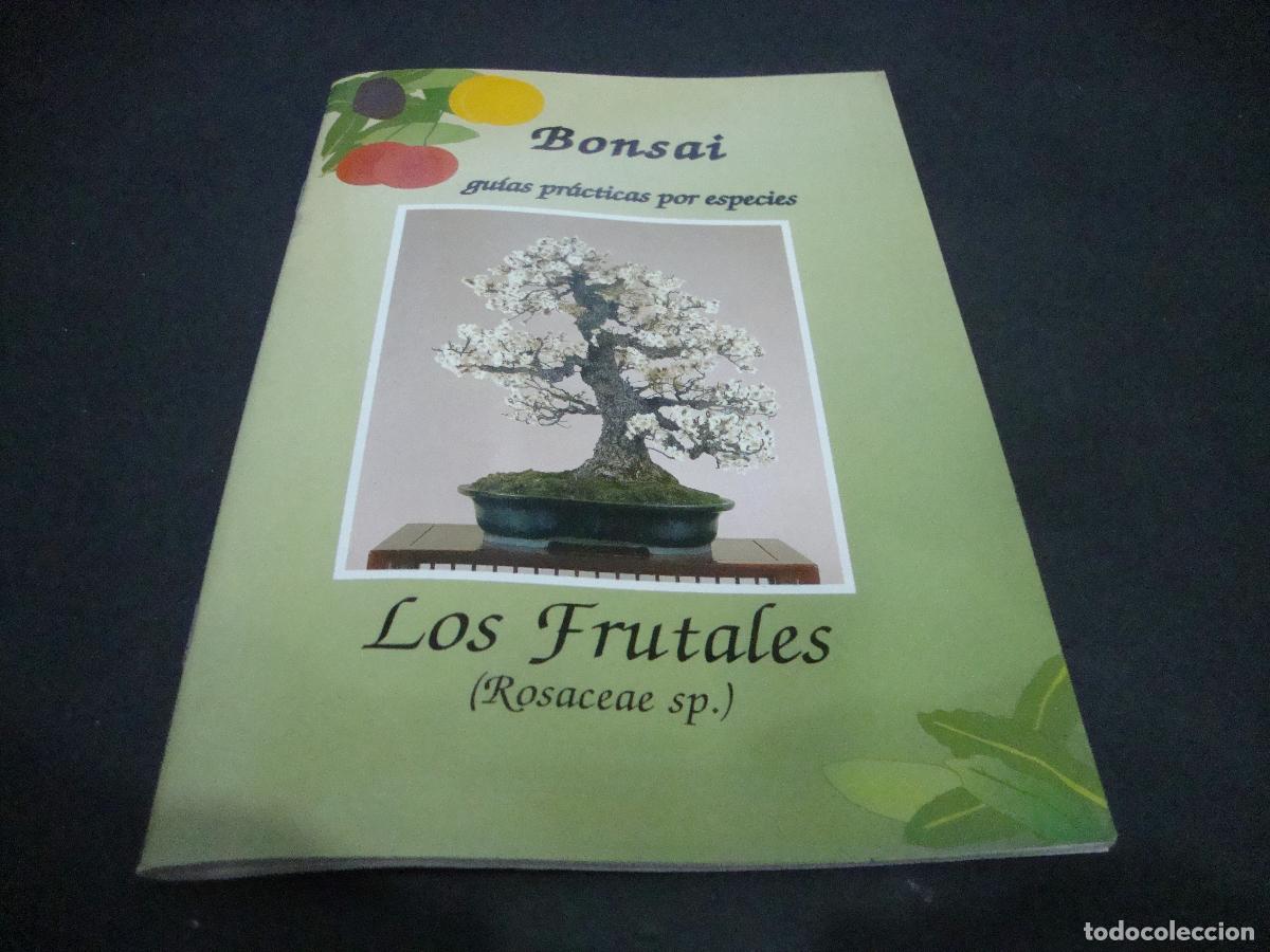 Libros de segunda mano: BONSAI GUIAS PRACTICAS POR ESPECIES LOS FRUTALES