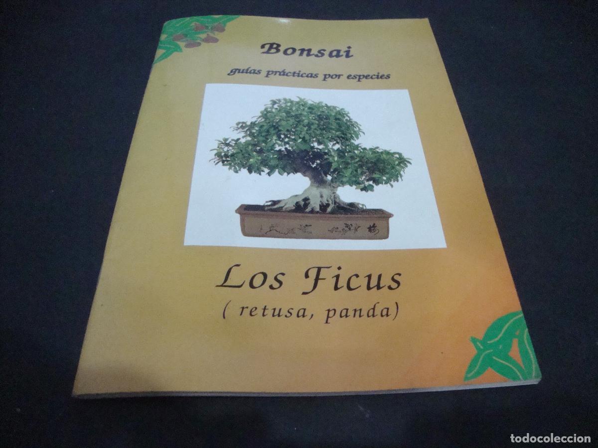 Libros de segunda mano: BONSAI GUIAS PRACTICAS POR ESPECIES LOS FICUS