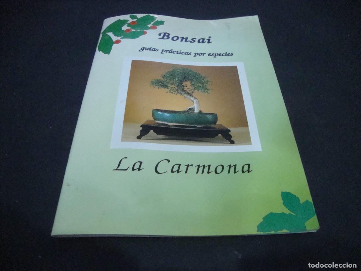 Libros de segunda mano: BONSAI GUIAS PRACTICAS POR ESPECIES LA CARMONA