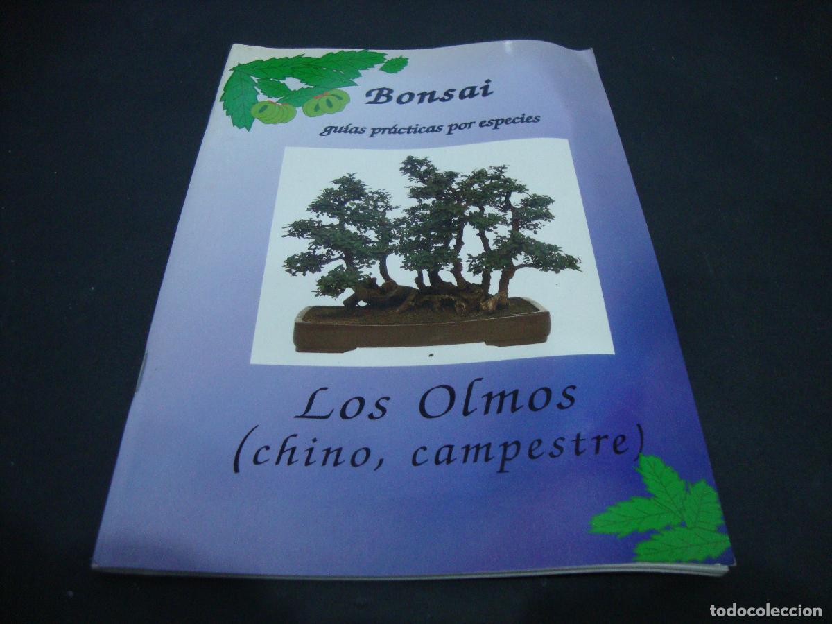 Libros de segunda mano: BONSAI GUIAS PRACTICAS POR ESPECIES LOS OLMOS