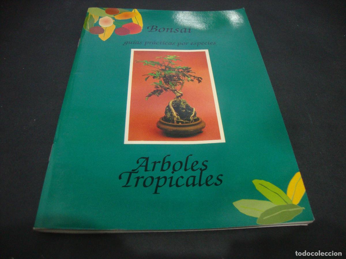 Libros de segunda mano: BONSAI GUIAS PRACTICAS POR ESPECIES ARBOLES TROP&Igrave;CALES
