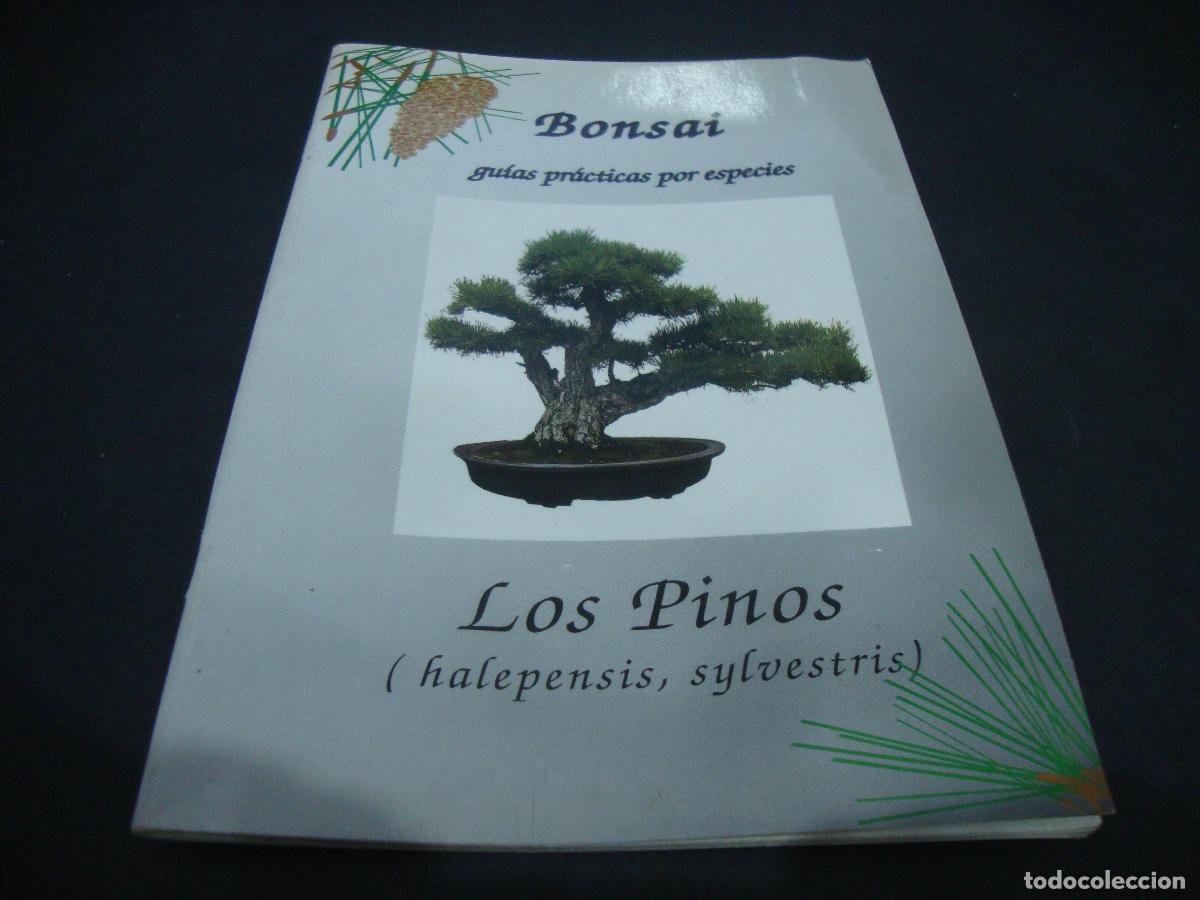Libros de segunda mano: BONSAI GUIAS PRACTICAS POR ESPECIES LOS PINOS
