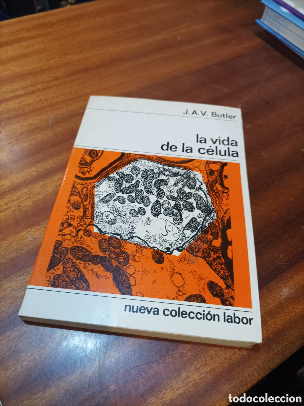 Libros de segunda mano: LA VIDA DE LA C&Eacute;LULA .J.A.V.BUTTER..NUEVA COLECCI&Oacute;N LABOR.